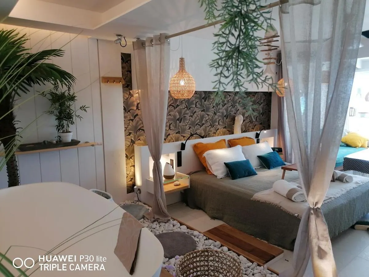 Love Beach Loft Marigot  Appartement Marigot (Saint Martin)